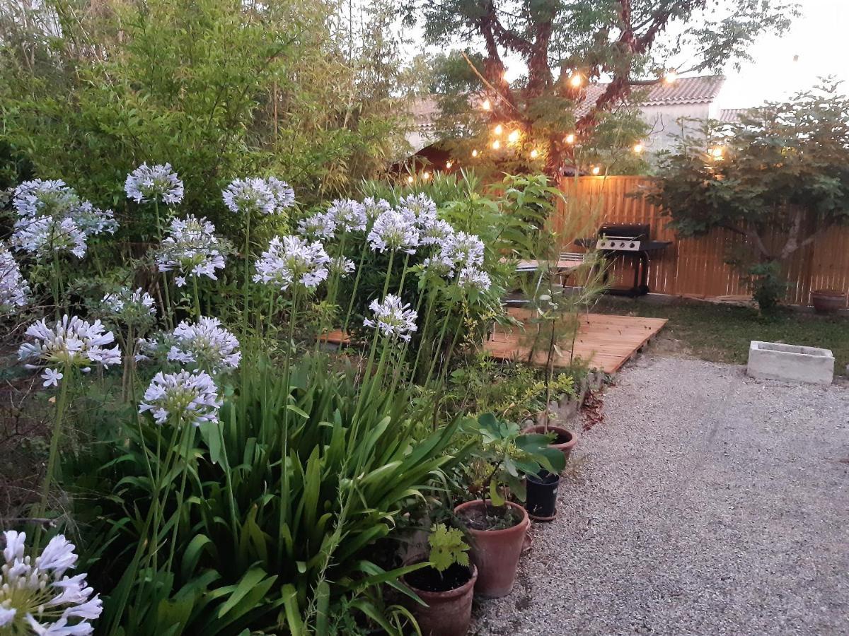Villa " Les Bambous " , Jardin , Terrasse , Climatisation , Wifi , Parking アヴィニョン エクステリア 写真